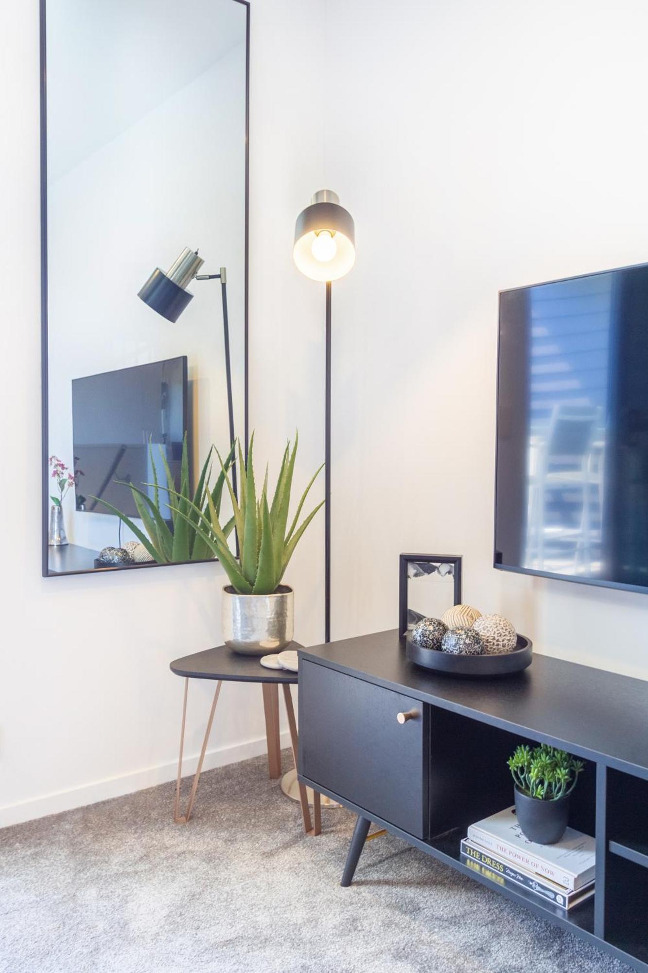 Central City Charm: Pet-Friendly Studio Christchurch Zewnętrze zdjęcie