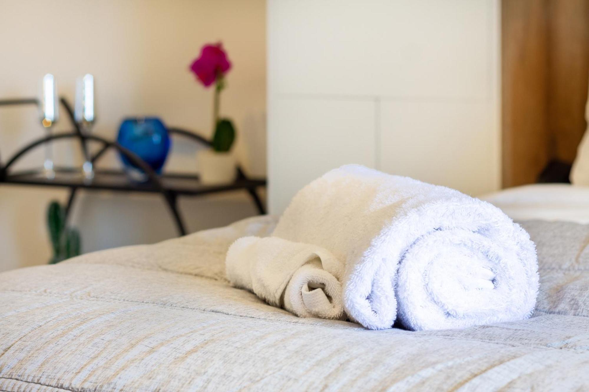 Central City Charm: Pet-Friendly Studio Christchurch Zewnętrze zdjęcie