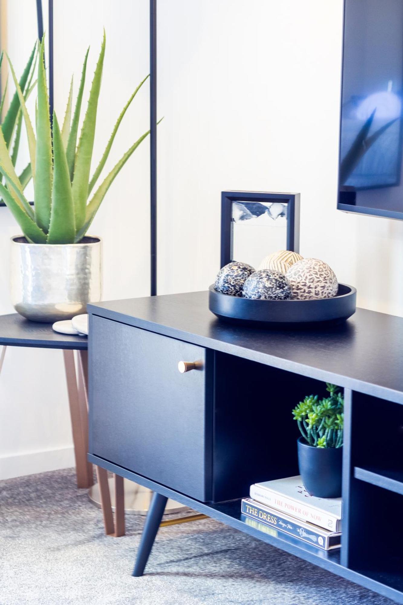 Central City Charm: Pet-Friendly Studio Christchurch Zewnętrze zdjęcie