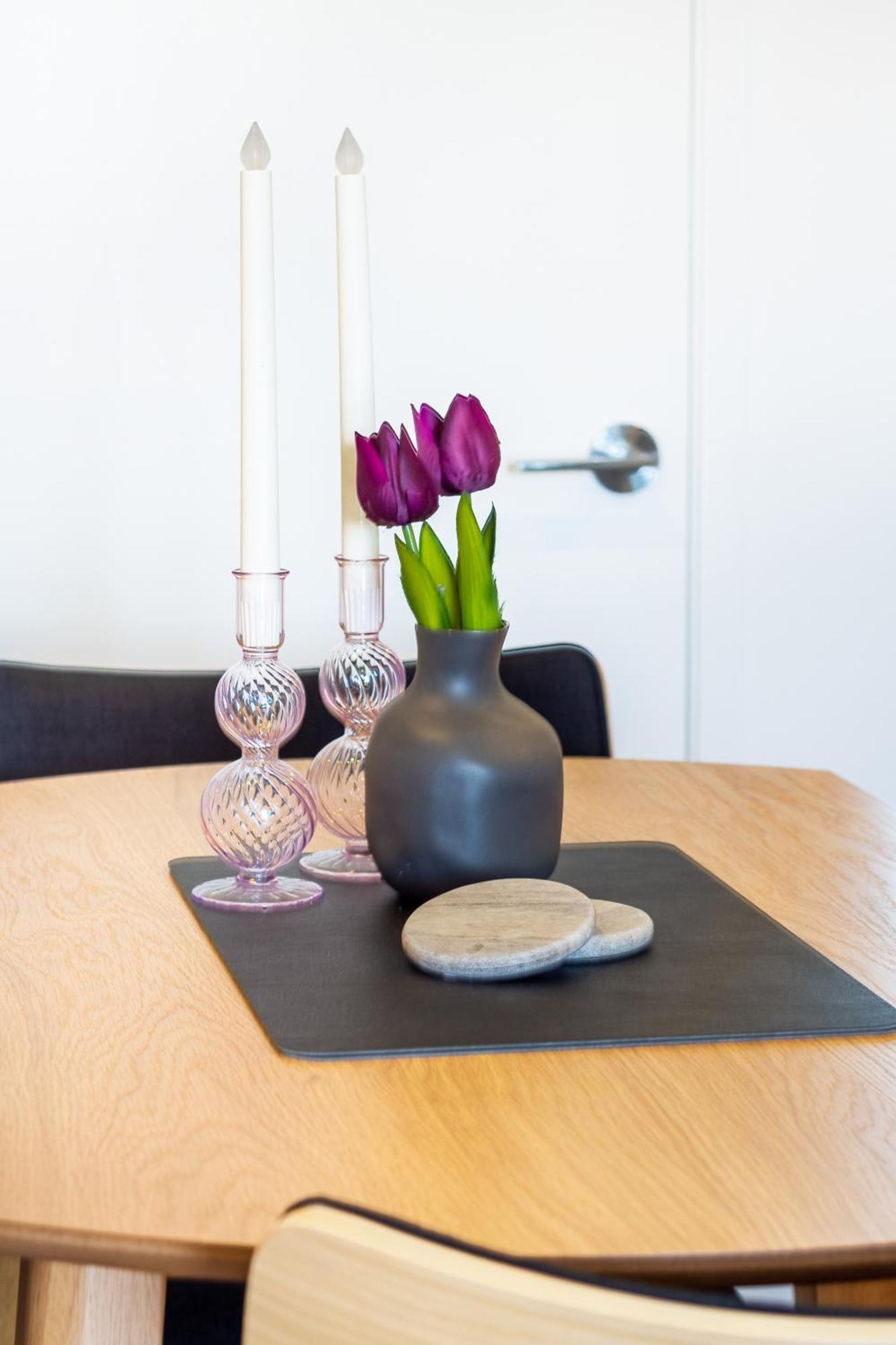 Central City Charm: Pet-Friendly Studio Christchurch Zewnętrze zdjęcie